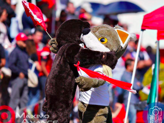 screen-shot-2016-11-10-at-4-59-48-am