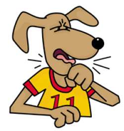 dogs-coughing