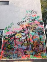 20952105_10203643635087604_1325251628_o