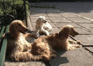 Screen Shot 2014-05-07 at 12.31.07 AM