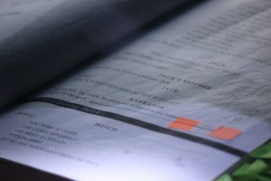 IMG_2379