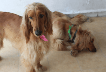 Screen Shot 2015-06-14 at 4.08.34 AM