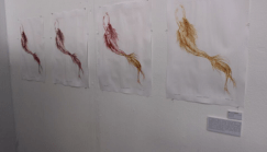 Screen Shot 2016-05-08 at 8.04.32 PM