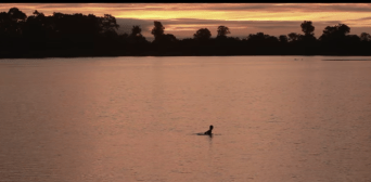 screen-shot-2016-10-30-at-10-07-24-am