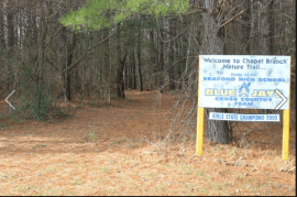 Screen Shot 2017-08-24 at 10.16.41 PM