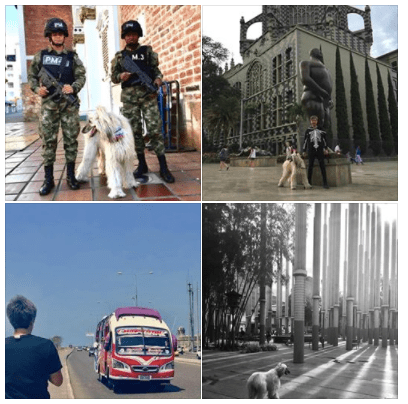 Screen Shot 2018-03-11 at 7.57.34 PM